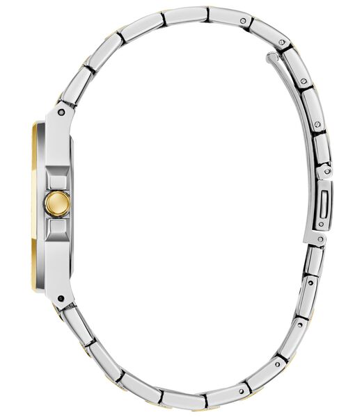 Ladies 2-Tone Analog Watch