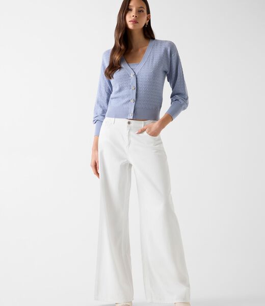 Wide-leg pants
