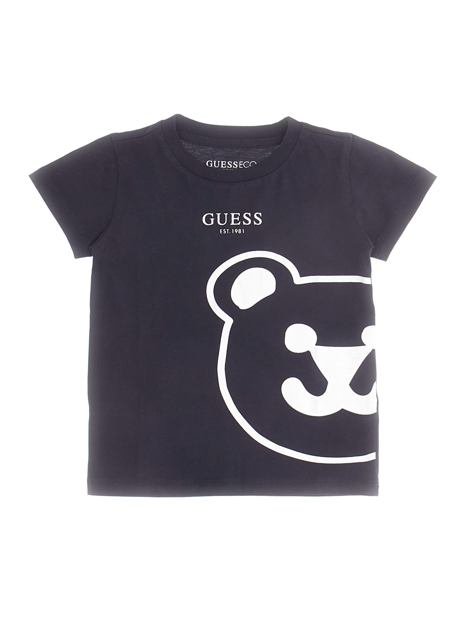 Bear Print T Shirt