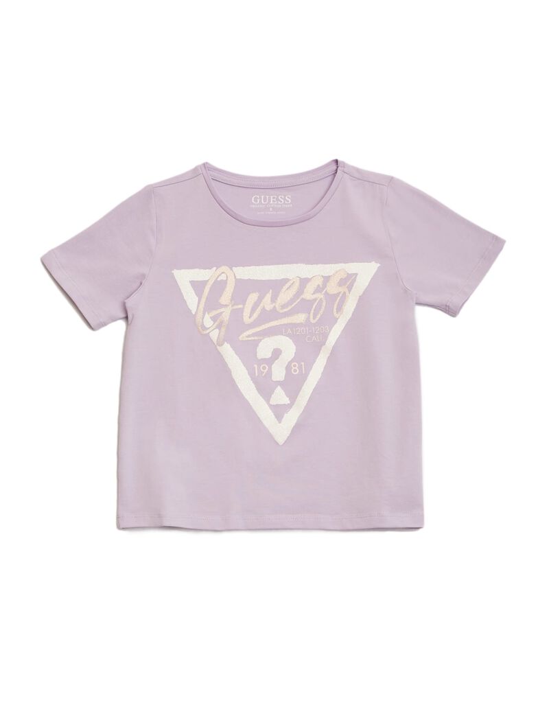 Front Triangle Logo T-Shirt
