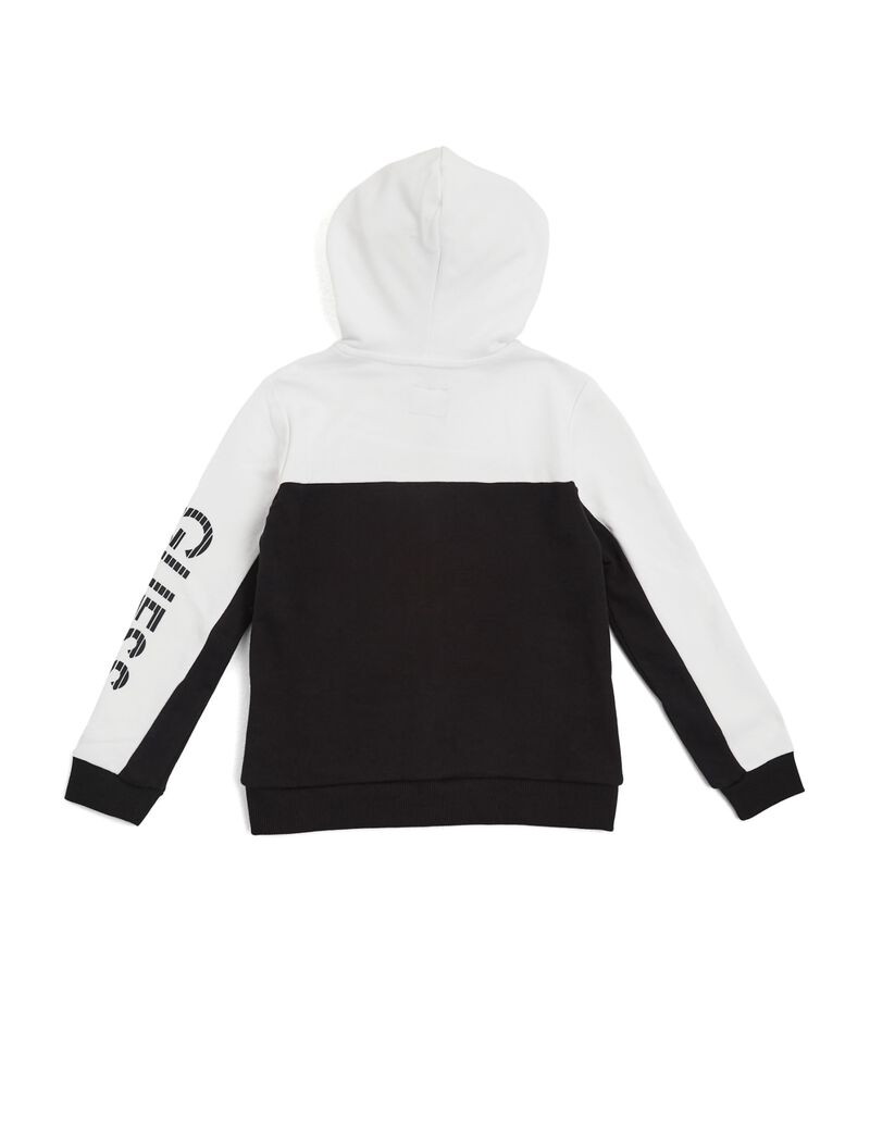 Guess roy colorblock hoodie Clearance