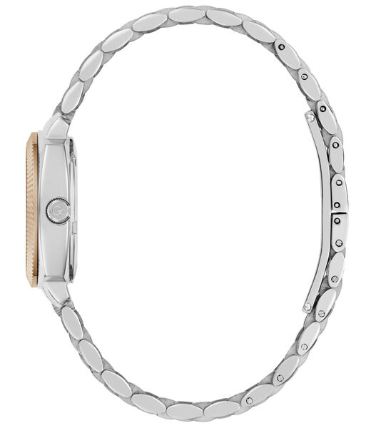 Gc Flair Coussin Mini Small Size Metal