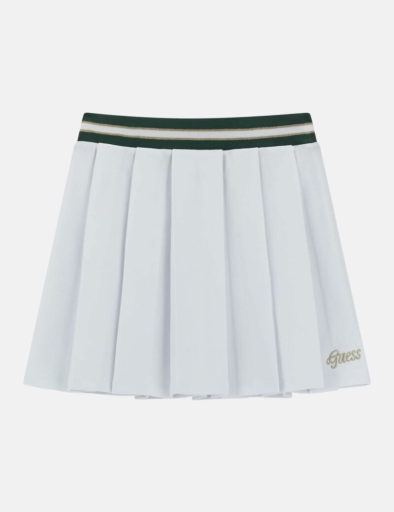 All over pleated skirt