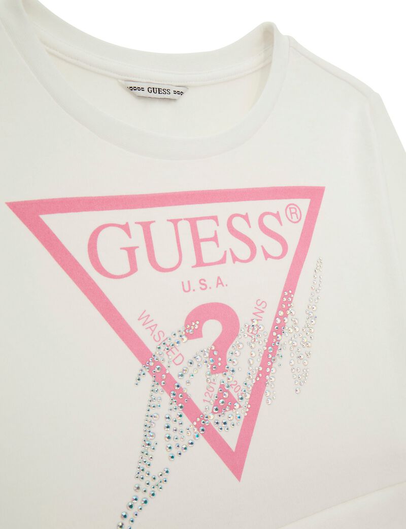 Mesh ruffles fit and flare dress