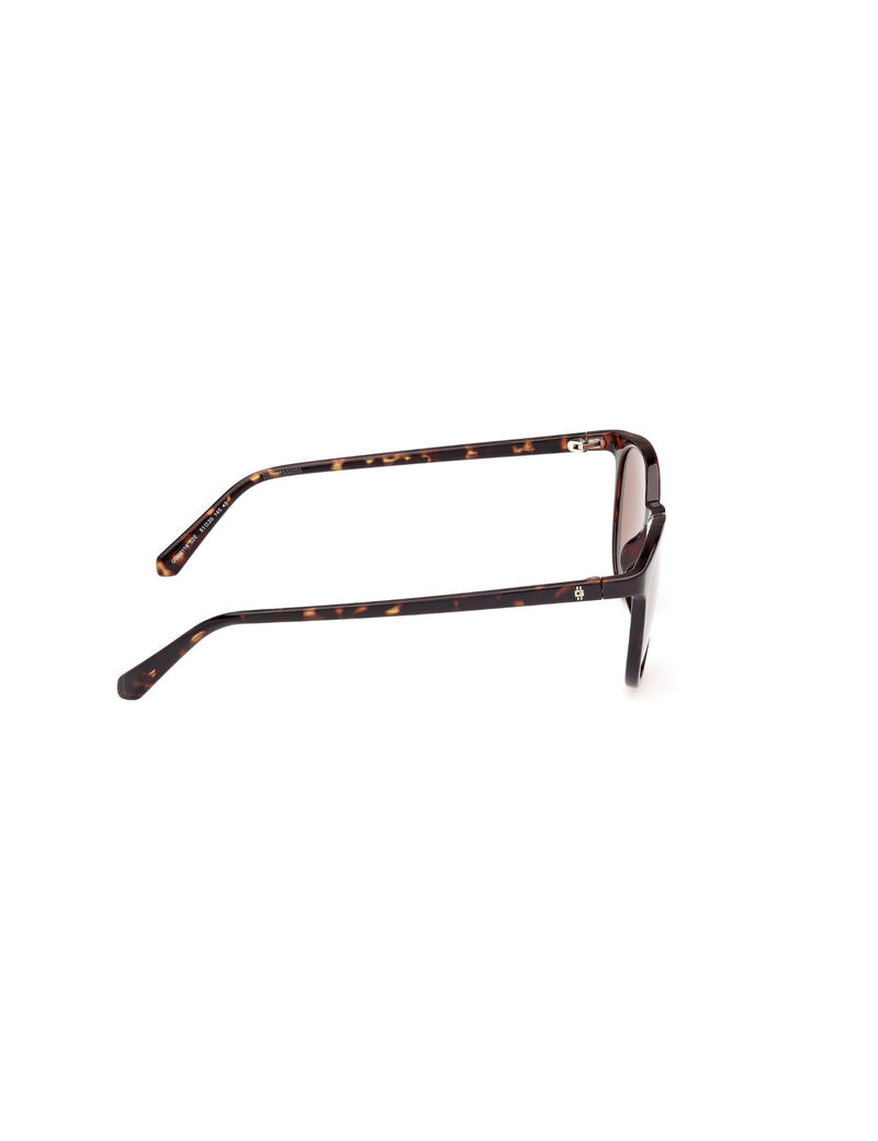 Injected Sun Glasses M Dark Havana Brown