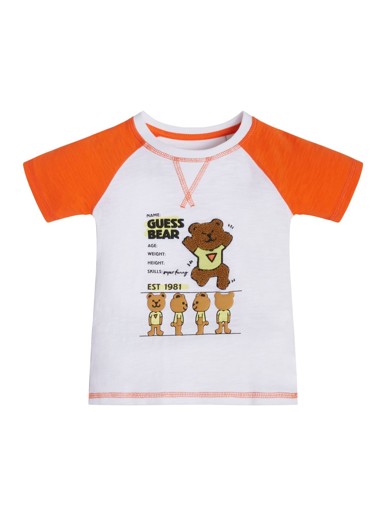 Bear t shirt discount