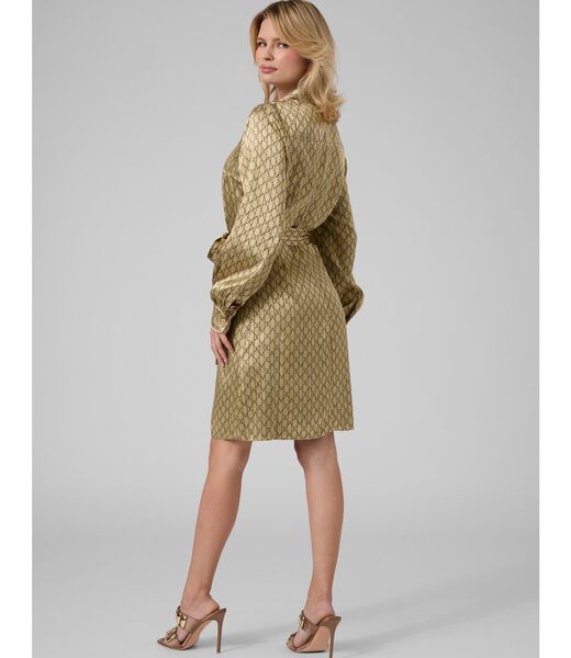 guess marciano chemisier mini dress