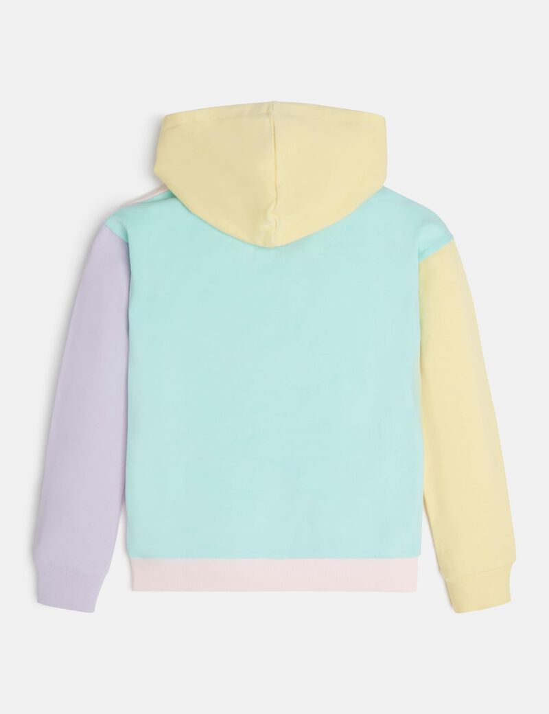 Color Block Sweatshirt