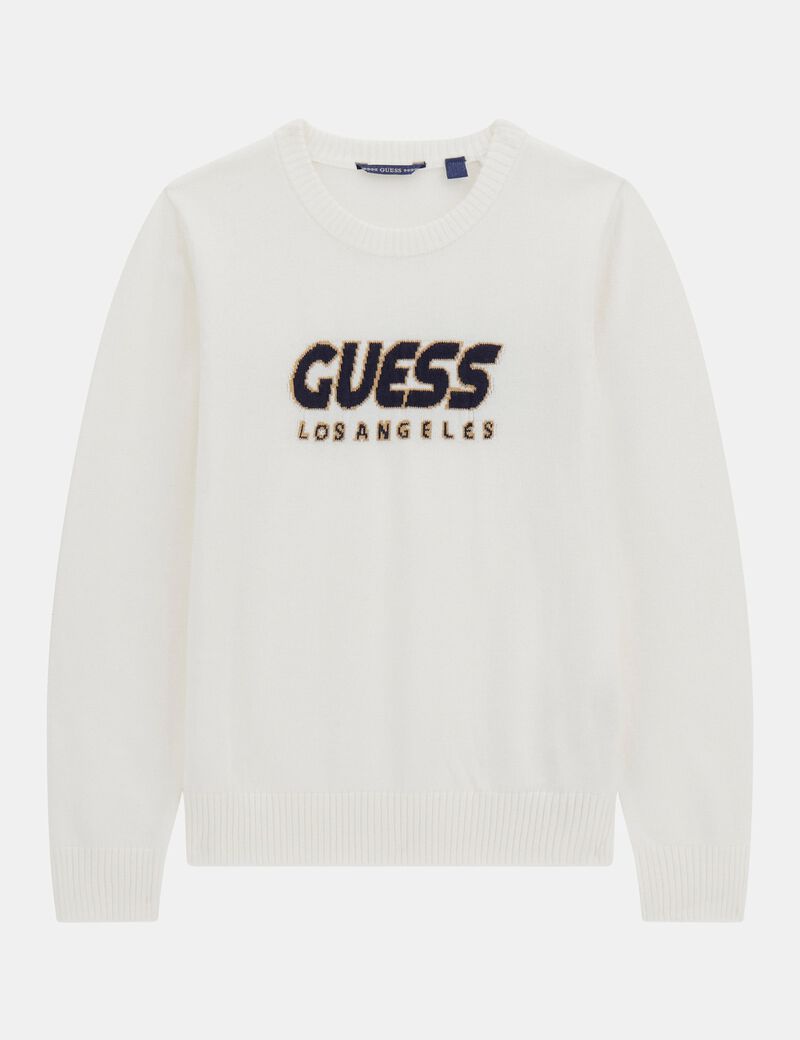 Long sleeeve sweater