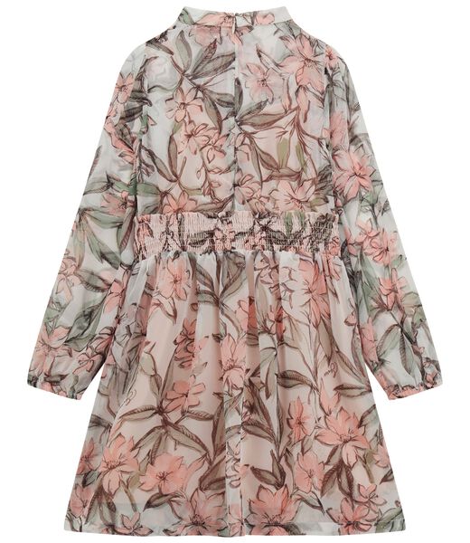 Chiffon long sleeve dress