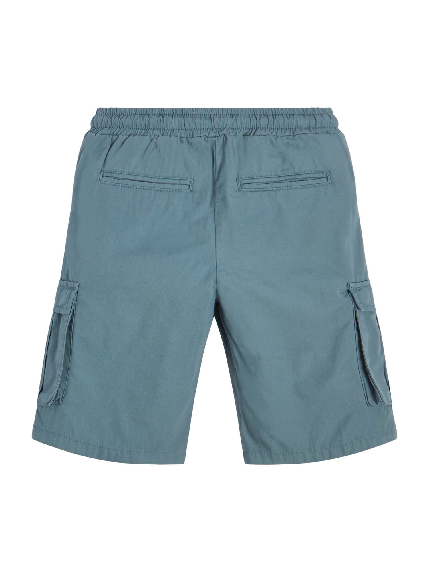 Guess 2025 cargo shorts
