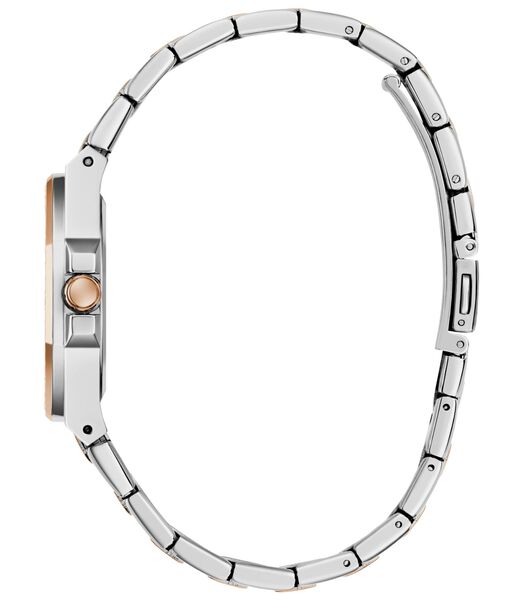 Ladies 2-Tone Analog Watch