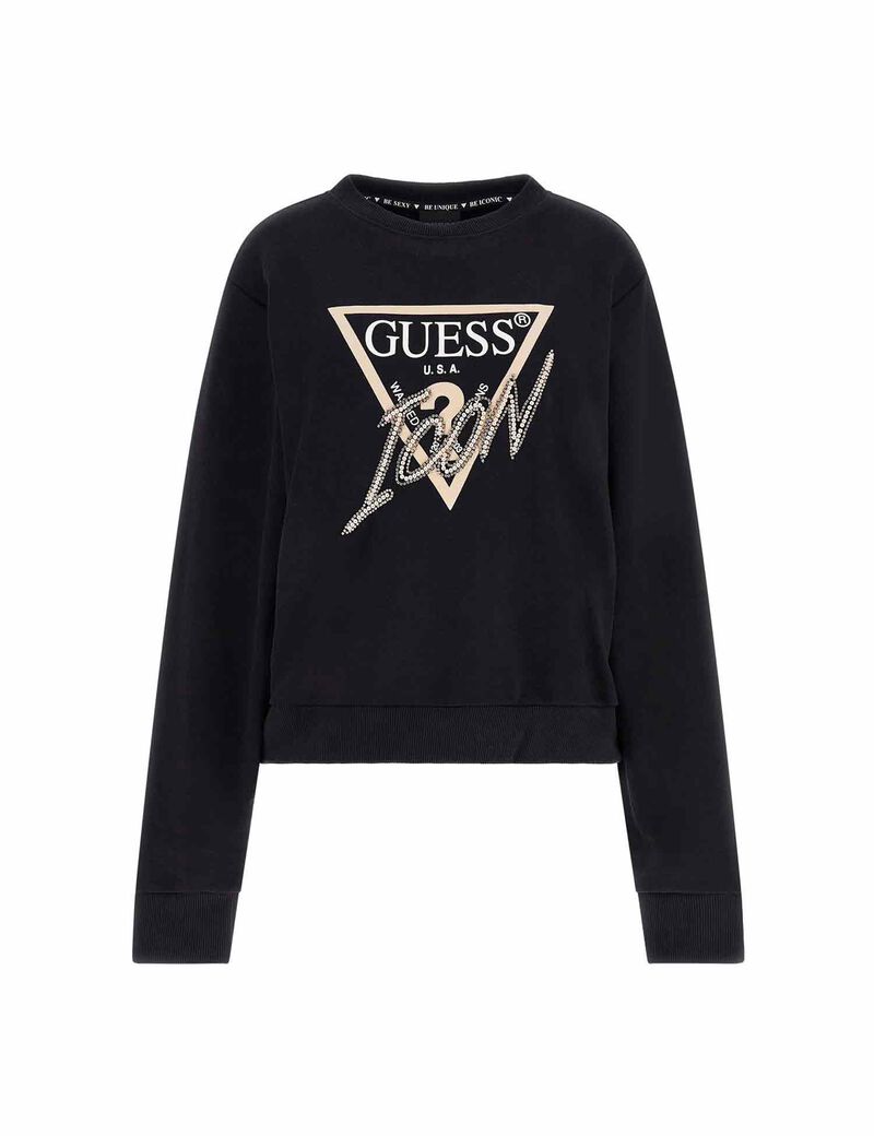 Icon Triangle Logo Sweatshirt