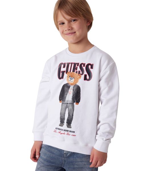 Teddy bear sweatshirt