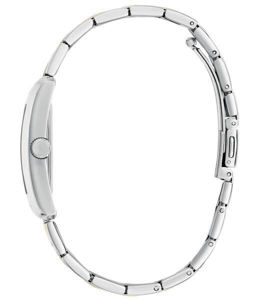 Ladies 2-Tone Silver Tone Analog Watch