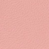 Coral Punch
